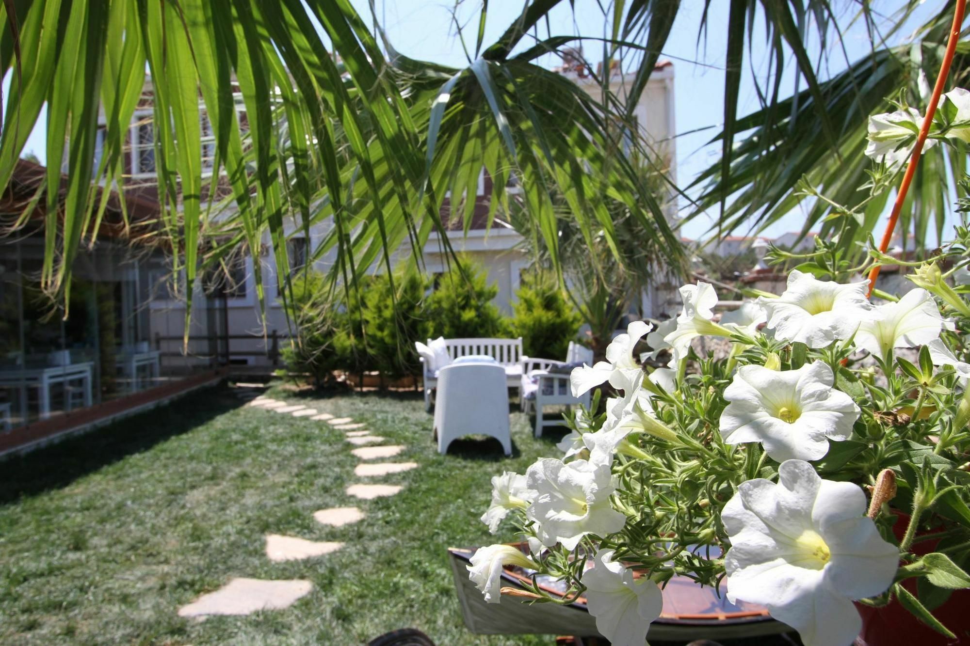 Destina Hotel Bozcaada Exteriér fotografie